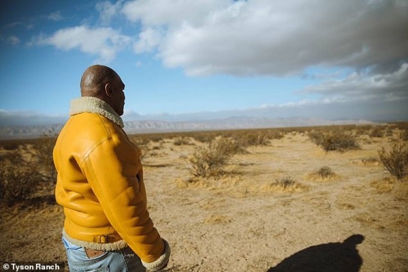 Divertido boxeador Mike Tyson plantea en su rancho de marihuana y trata a sus invitados
