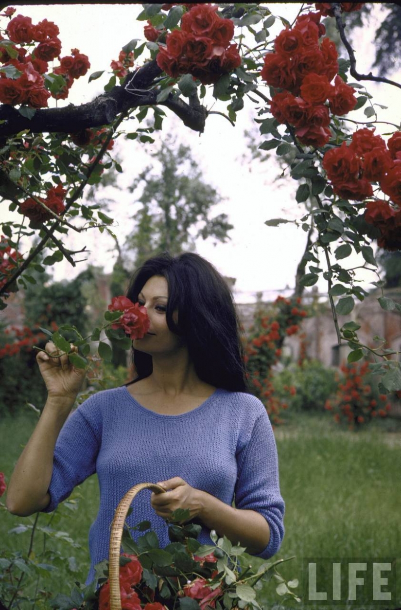 Dolce Vita: no identificado foto de una joven Sophia Loren en Villa de lujo