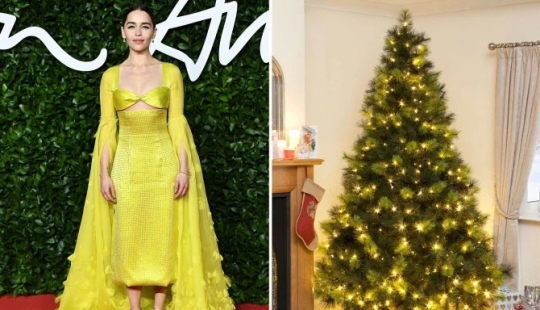 Dressed to the nines stars as Christmas tree: 13 fashion images of celebrities and Christmas trees in the same style