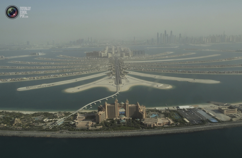 Dubai from the height of bird flight