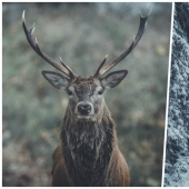 Each photo is like a painting: Belgian creates expressive landscapes of Northern Europe