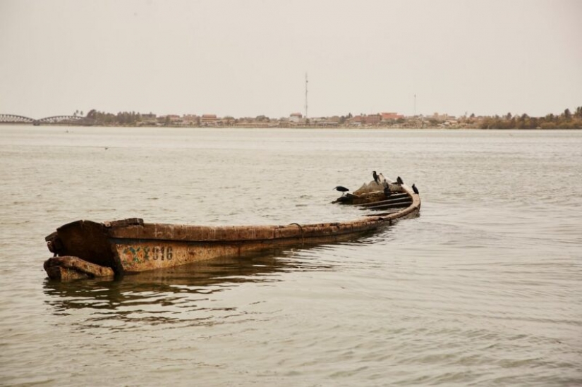 El Africano de Venecia como ciudad colonial de Saint Louis es absorbido por el océano