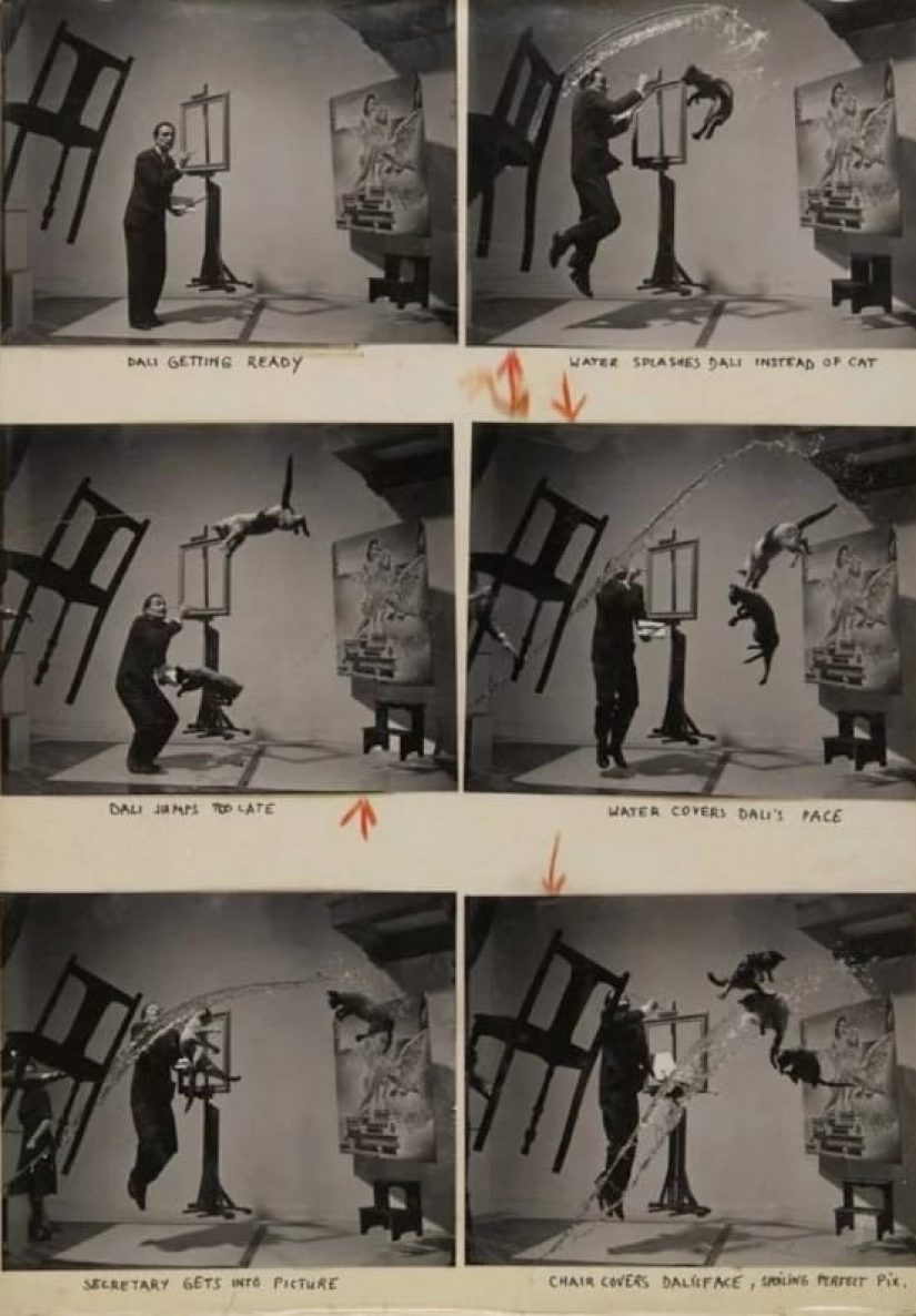 El fotógrafo tomó la icónica foto de Salvador Dalí, en sustitución de los gatos con una tostadora