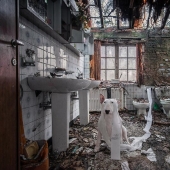 El fotógrafo y su pit bull hablar acerca de las reglas de la vida en el coronavirus