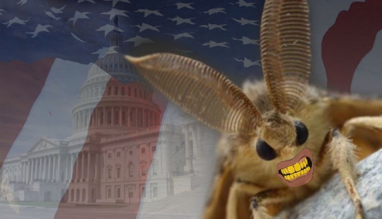 El gigante de lymantria en los Estados unidos — un nuevo ataque difícil de 2020