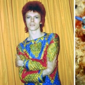 El gran David Bowie y sus homólogos, babosas de mar