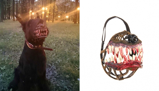 El hocico, que va a hacer el mejor perro en un monstruo sediento de sangre