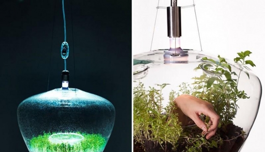 El más creativo de lámparas y luminarias