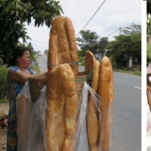 El más grande de pan en el mundo al horno en Vietnam