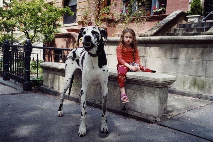 El mundo Amelia — una niña y sus animales