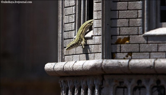 El Parque en miniatura en Barcelona El Parque en miniatura en Barcelona