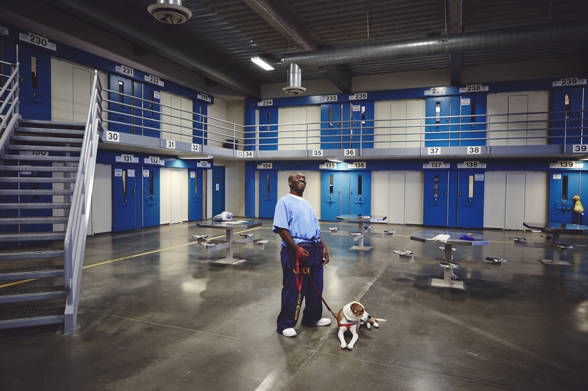 "El perro te ama, incluso en la cárcel": cómo ayudar a cada uno de los otros reclusos y de los perros sin hogar