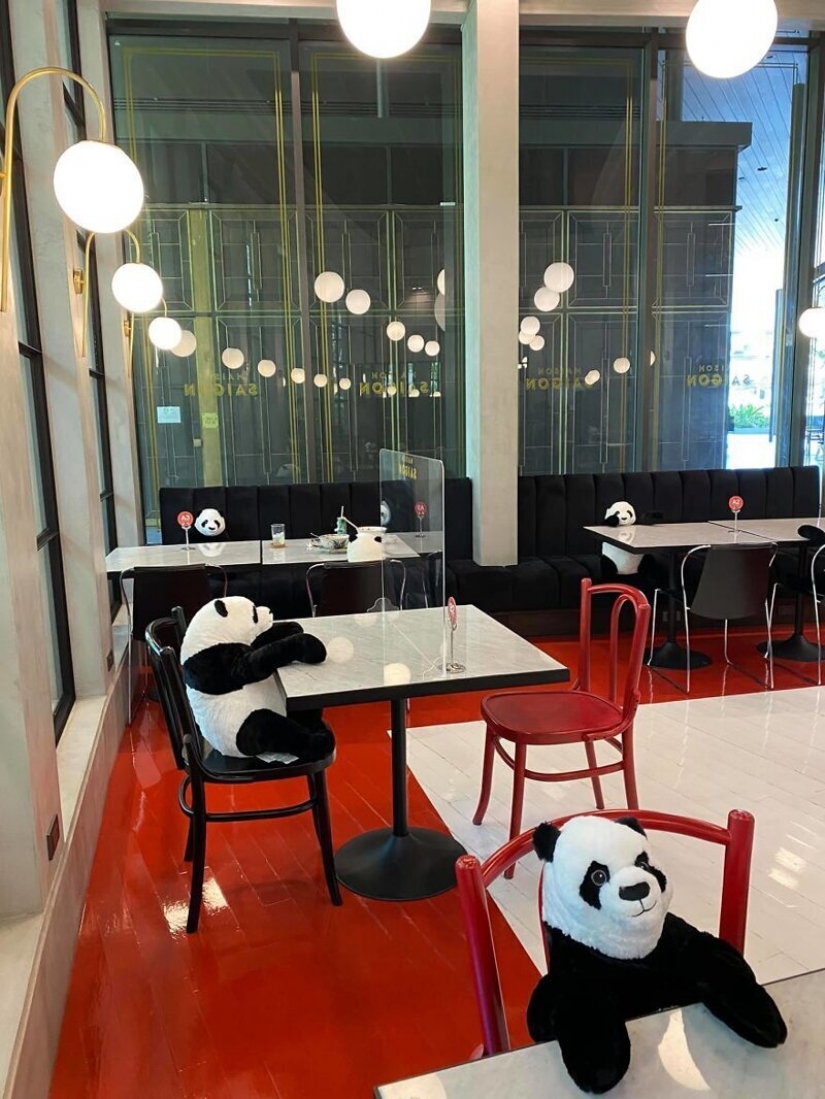 El restaurante Bangkok pandas ayudar a las personas a mantener una distancia