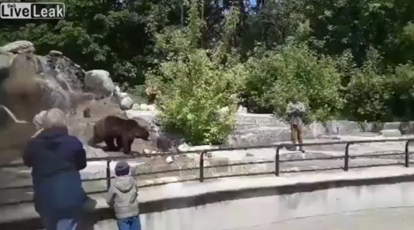 En el zoológico de Varsovia hombre borracho trató de ahogar el oso