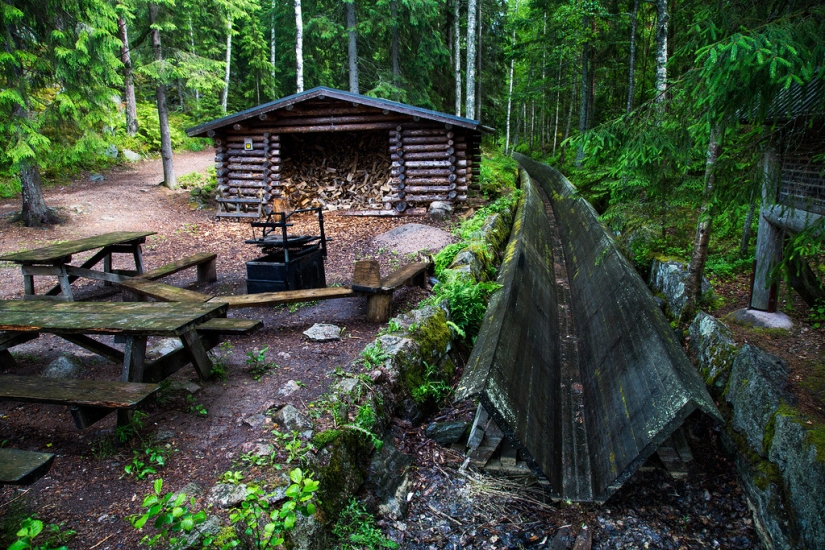 En Finlandia consiguió deshacerse de la basura en la naturaleza y los incendios forestales