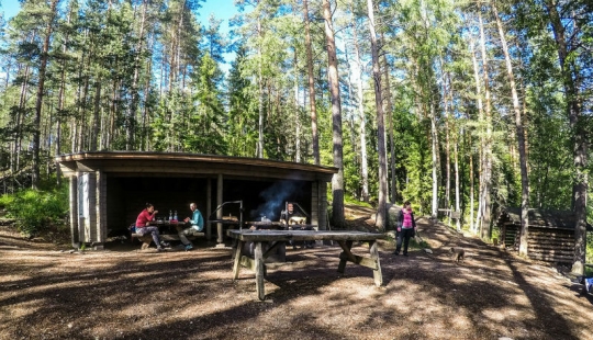 En Finlandia consiguió deshacerse de la basura en la naturaleza y los incendios forestales