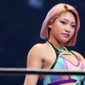 En Japón, murió el 22 de año viejo luchador, que cazaban en la red