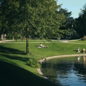 En vivo imágenes de Julien Duvie