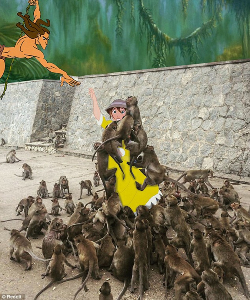 Error Fatal: el turista decidió alimentar a los monos y se convirtió en el héroe de los memes de Internet