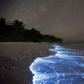 Estamos mirando a ver