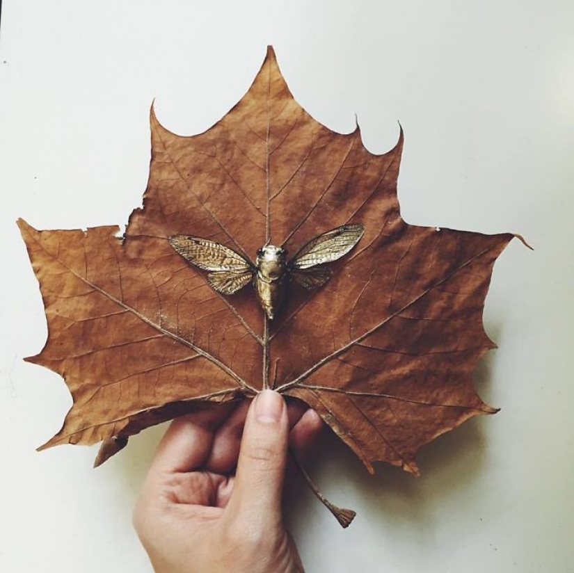 Fantasy worlds on a dry maple leaf