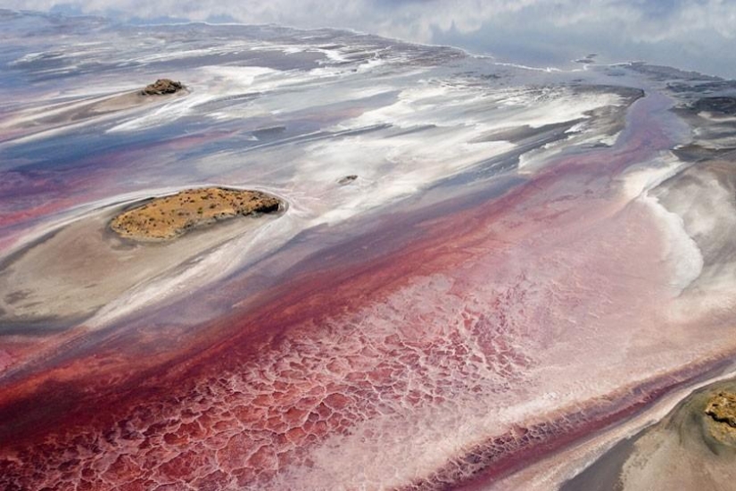 Fenómeno Natural del lago Natron.