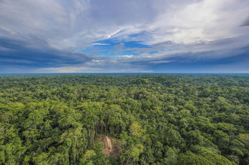 Fotógrafo brasileño logró acercarse más que nunca a totalmente tribu salvaje en los bosques de la Amazonía