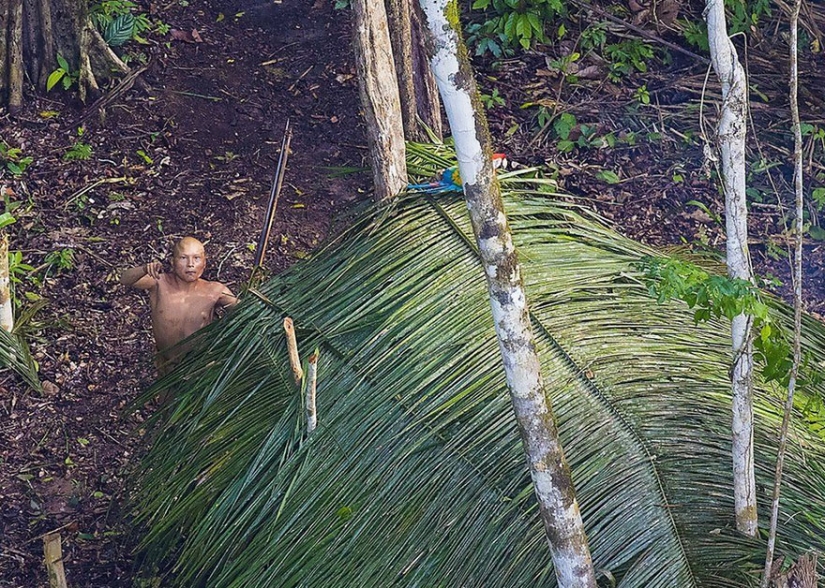 Fotógrafo brasileño logró acercarse más que nunca a totalmente tribu salvaje en los bosques de la Amazonía