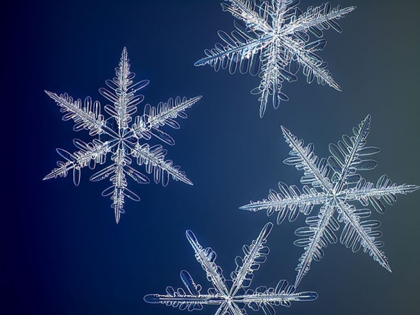 Fotógrafo captura las fotos de copos de nieve de mayor resolución del mundo