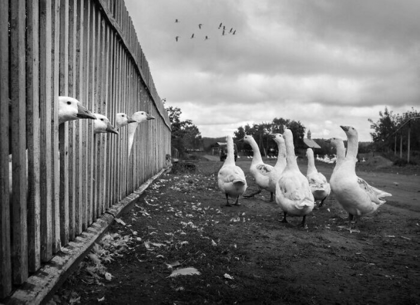 Fotos de una persona, que está de viaje en Rusia con una cámara en sus manos