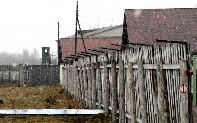 Fragmentos de horror: los restos de los campos del Gulag