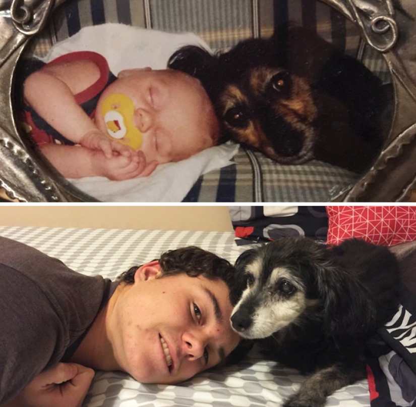 Grew up together: dogs and their owners at the beginning of the friendship through many years