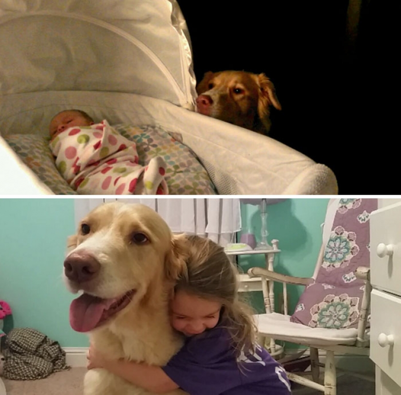 Grew up together: dogs and their owners at the beginning of the friendship through many years