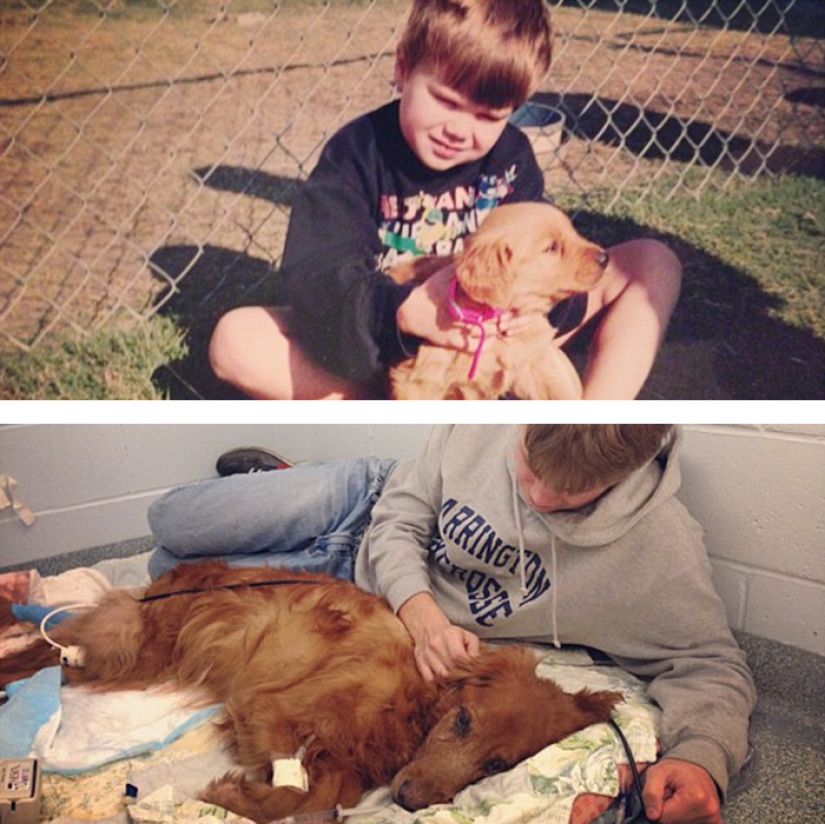 Heart breaks: the first and last photos of owners with their Pets