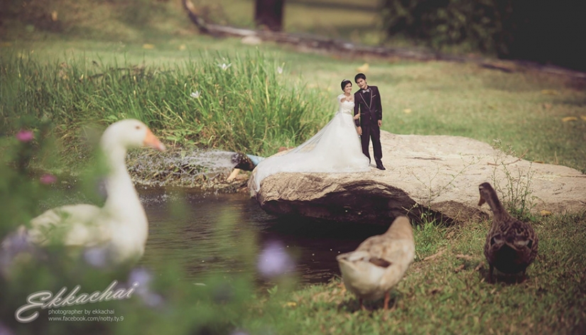 Honey, I shrunk the newlyweds: wedding photographer in transforming young midgets