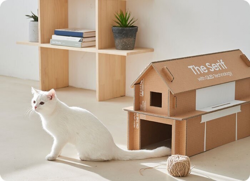 How box Samsung TV from which you can make a cat house