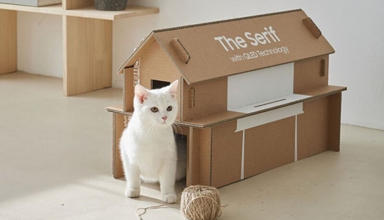 How box Samsung TV from which you can make a cat house