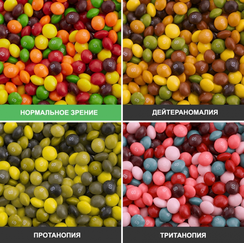 How the world looks through the eyes of a colorblind