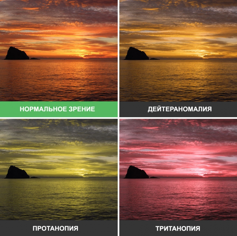 How the world looks through the eyes of a colorblind