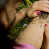 How to escape from the ticks? Forewarned is forearmed