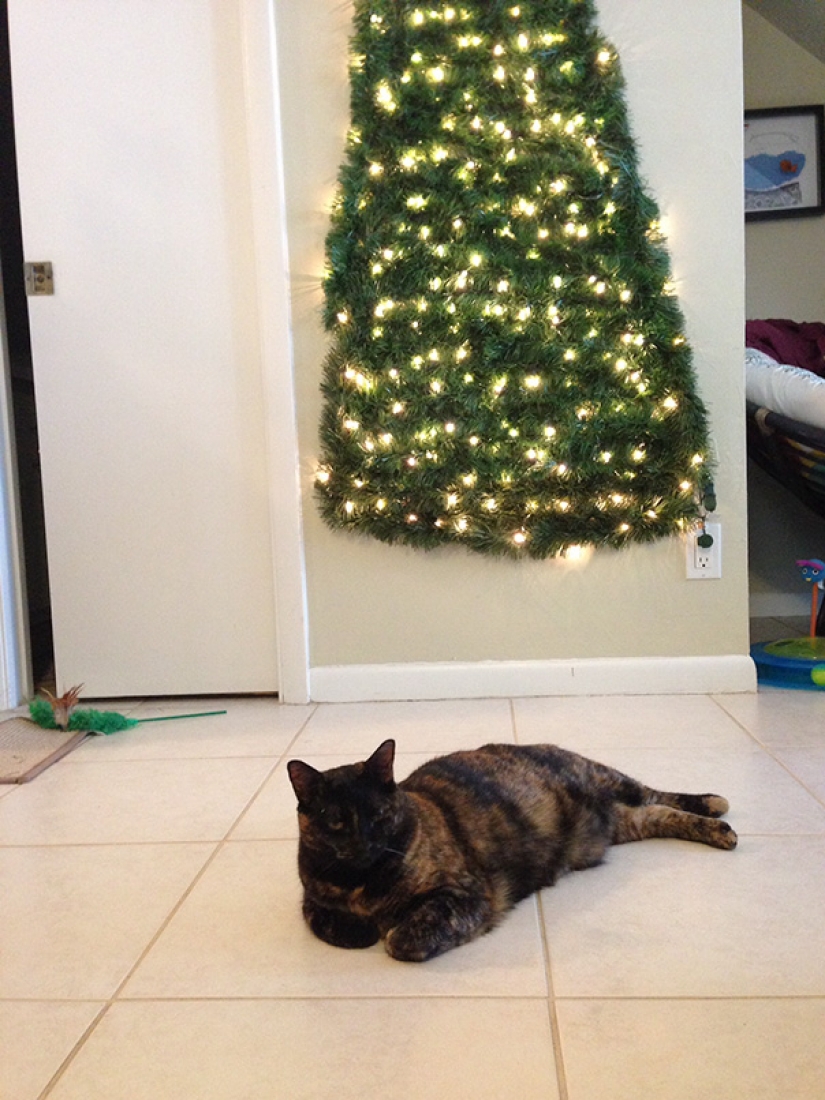 How to protect a Christmas tree from harmful and daring Pets