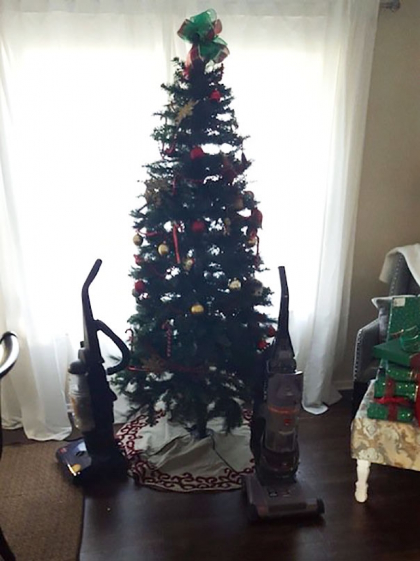 How to protect a Christmas tree from harmful and daring Pets