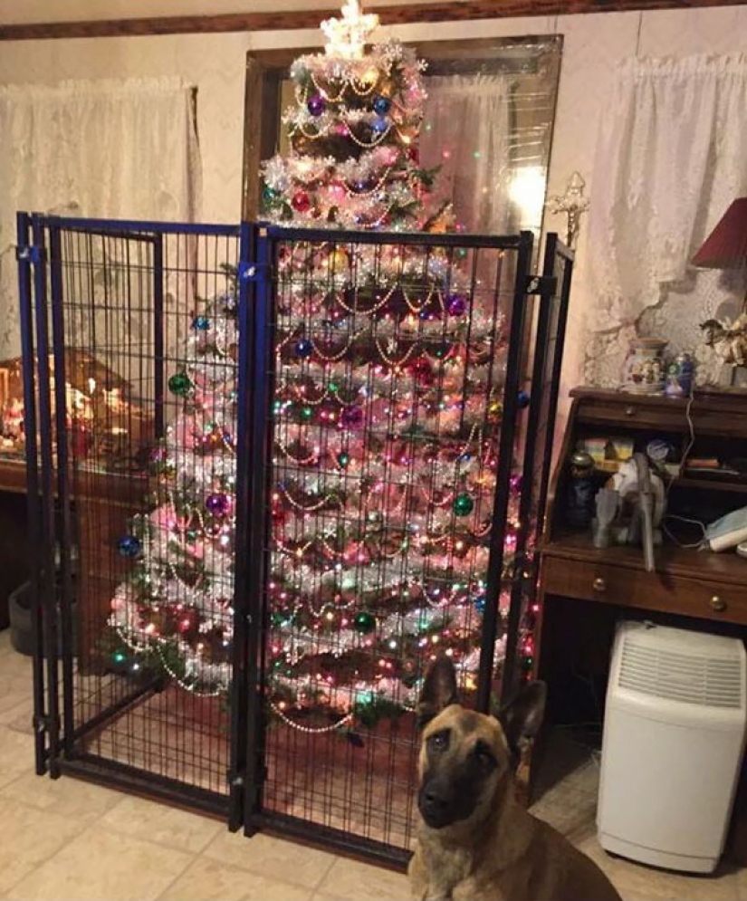 How to protect a Christmas tree from harmful and daring Pets