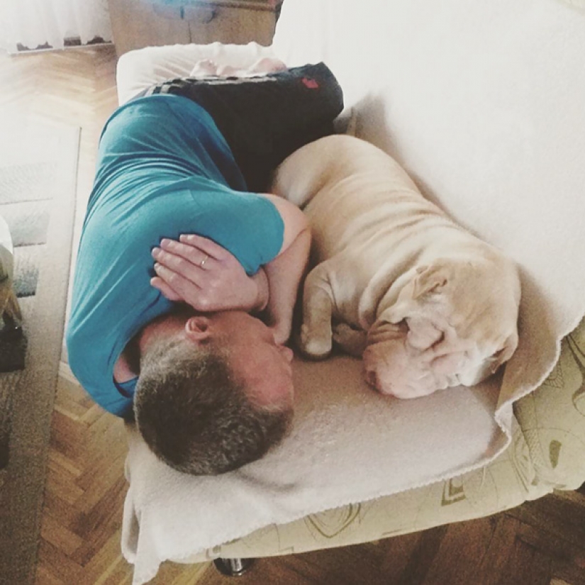 "I'm not a dog person": the fathers, who does not want dogs