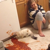 Imágenes de la épica fallos que demostrar que han resultado ser un gran lunes