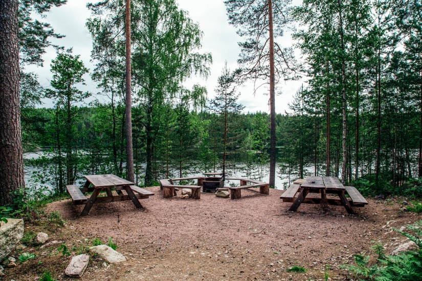 In Finland got rid of the garbage in the nature and forest fires