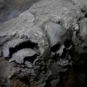 In Mexico city discovered the Aztec tower of human skulls