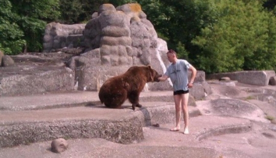 In the Warsaw zoo drunk man tried to drown the bear
