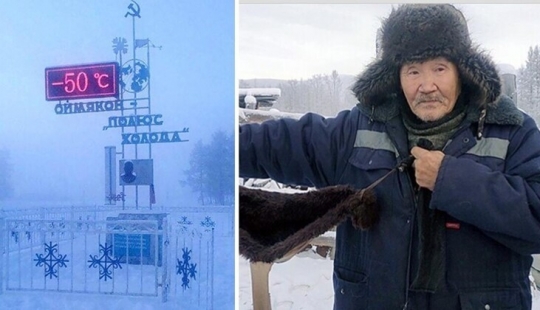 In Yakutia, due to the severe frosts sew fur bras for cows