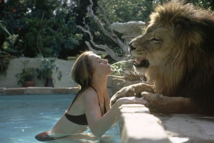 Increíbles fotos de los años ' 70: Melanie Griffith y león Neil
